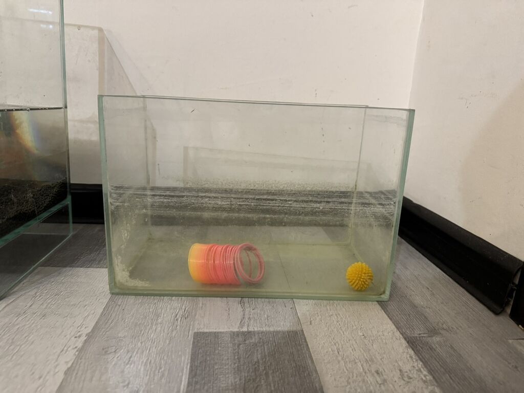 Dördbucaq akvarium, Boş, 60 l, Ünvandan götürmə — Heyvanlar, Bakı (2)