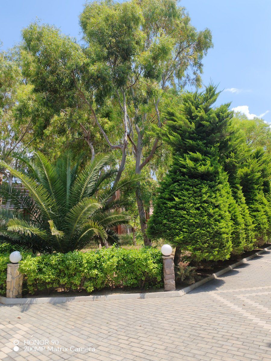 Satılır 5 otaqlı həyət evi/bağ evi 380 m² — Ev, villa, Bakı (3)