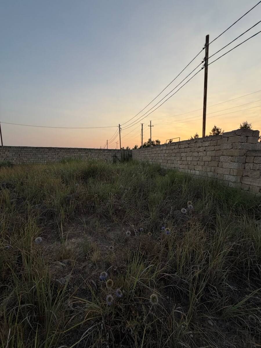Satılır torpaq 3 sot — Torpaq, Bakı (3)