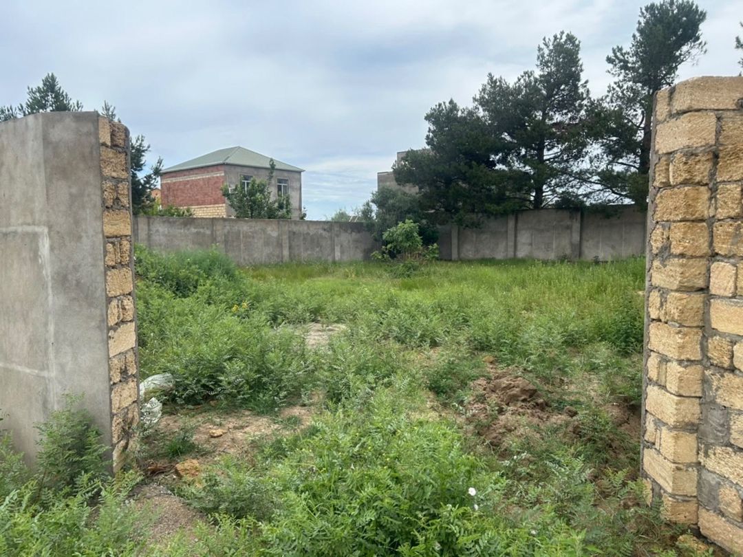 Satılır torpaq 6 sot — Torpaq, Sumqayıt (11)