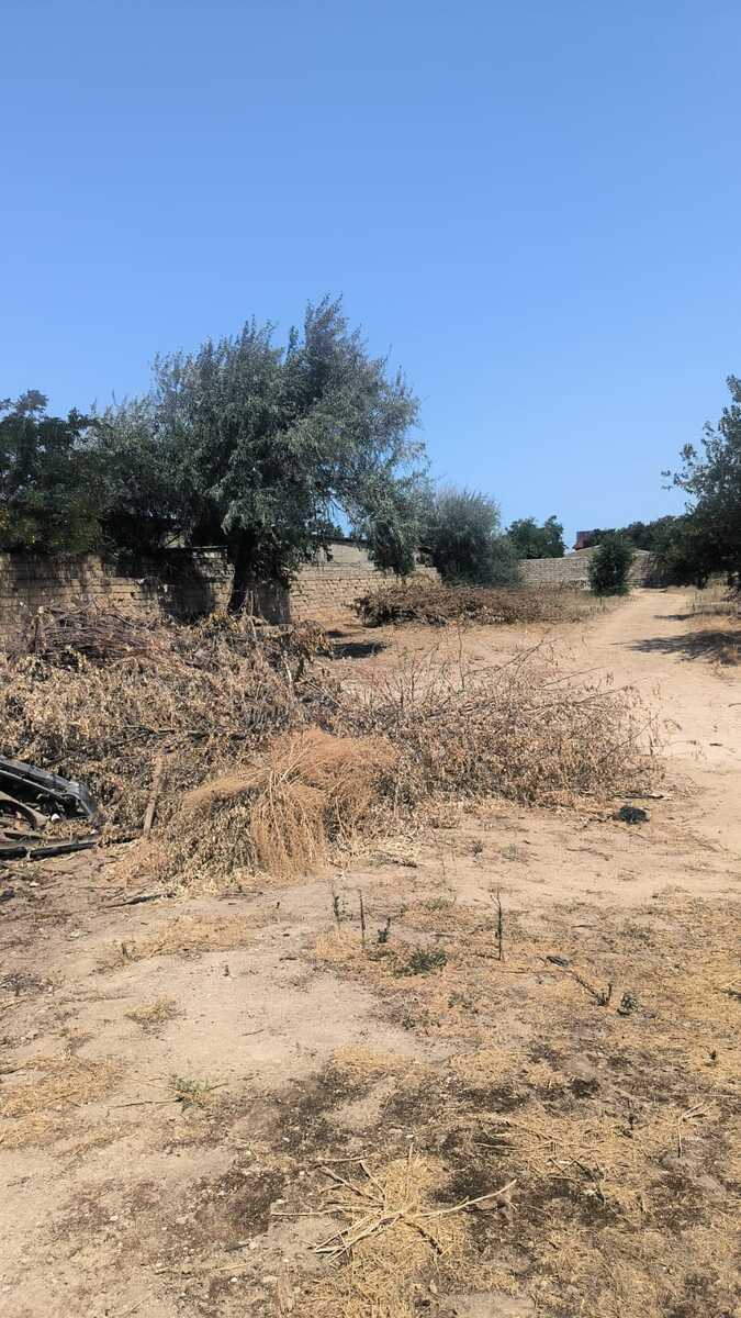 Satılır torpaq 24 sot — Torpaq, Bakı (2)