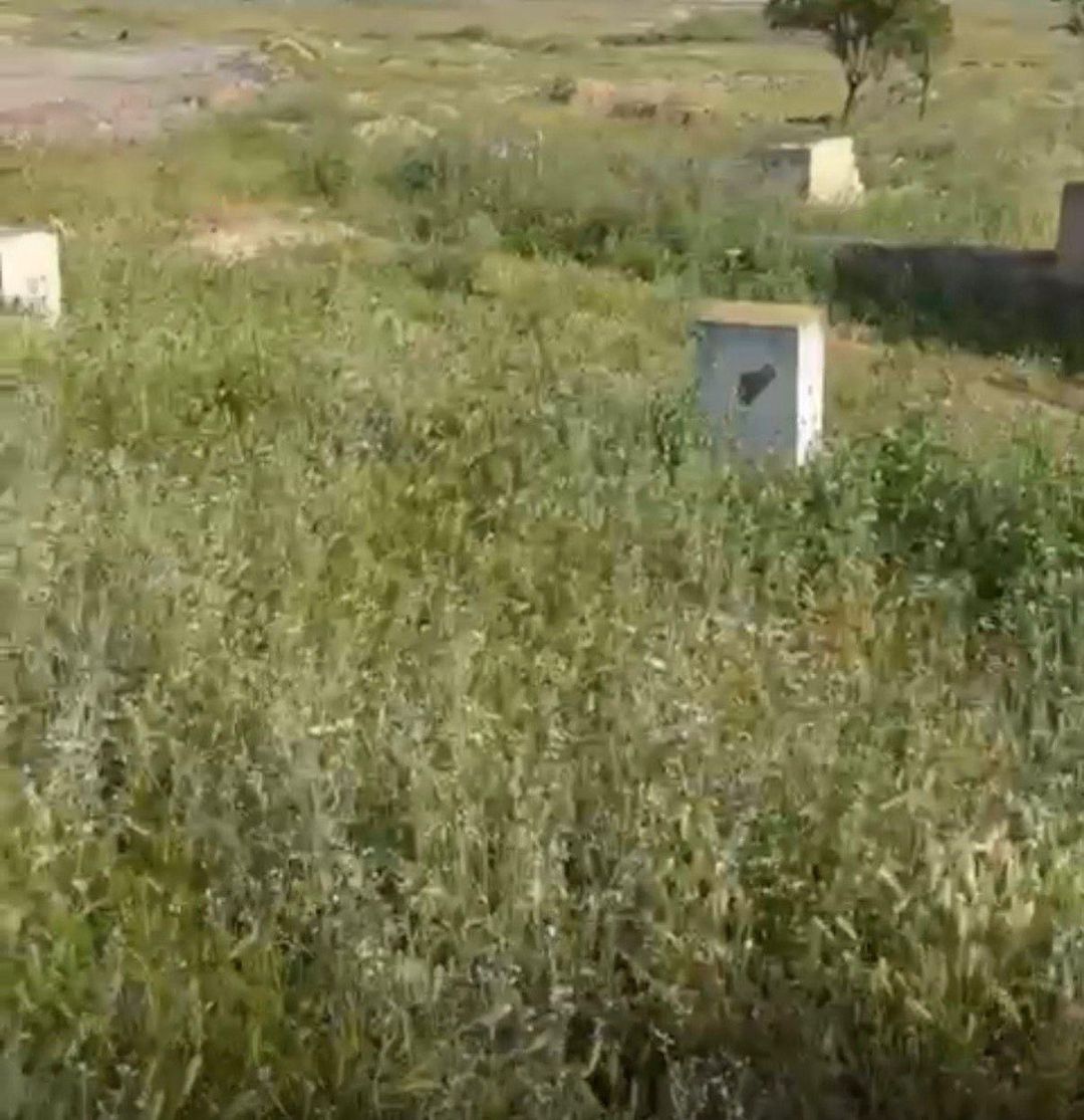 Satılır torpaq 150 sot — Torpaq, Bakı (2)