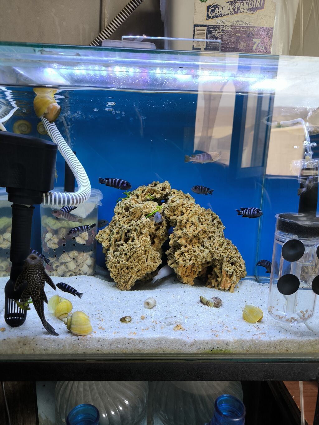 Akvarium Ölçüsü 50/40/40 Daxili Motoru Hava Motoru Pipo filtiri — Heyvanlar, Bakı (2)