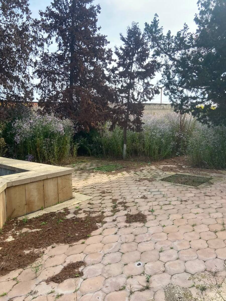Satılır torpaq 10 sot — Torpaq, Bakı (2)