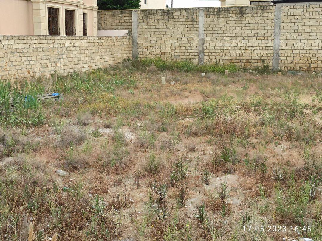 6 sot torpaq sahəsi, Novxanı qəs — Torpaq, Bakı (3)