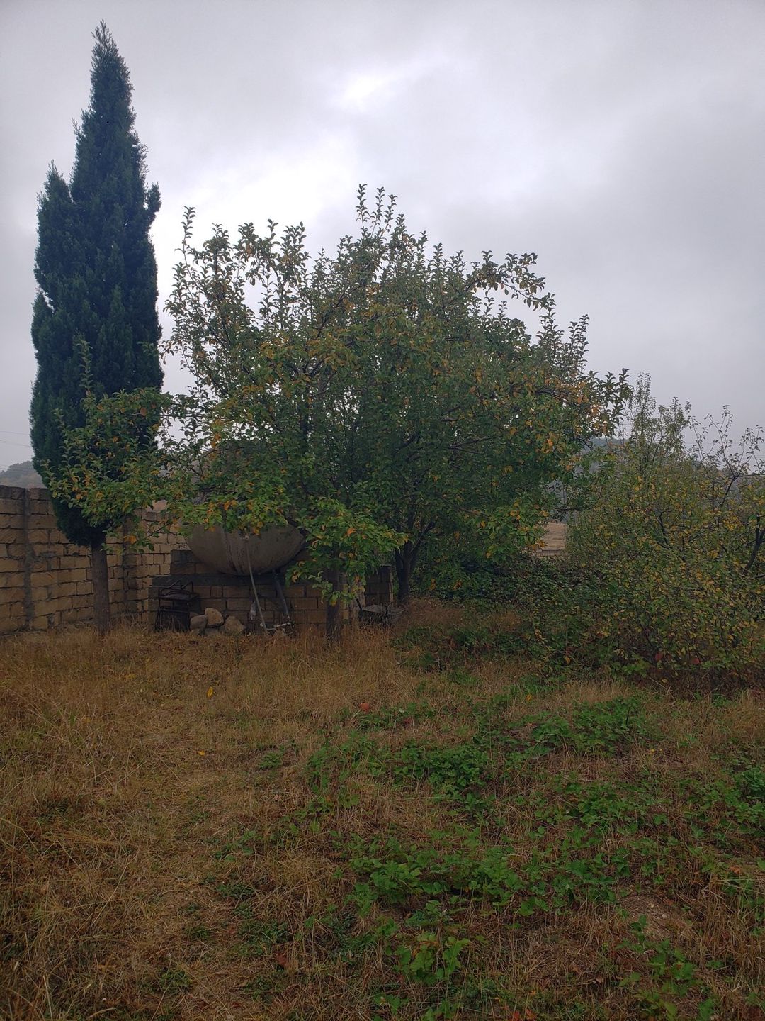 Satılır torpaq 30 sot — Torpaq, Şamaxı (3)