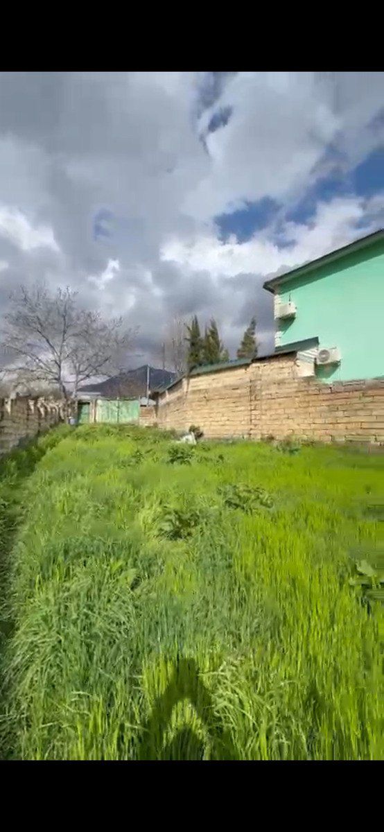 10 sot torpaq sahəsi, Qəbələ r — Torpaq, Qəbələ (2)