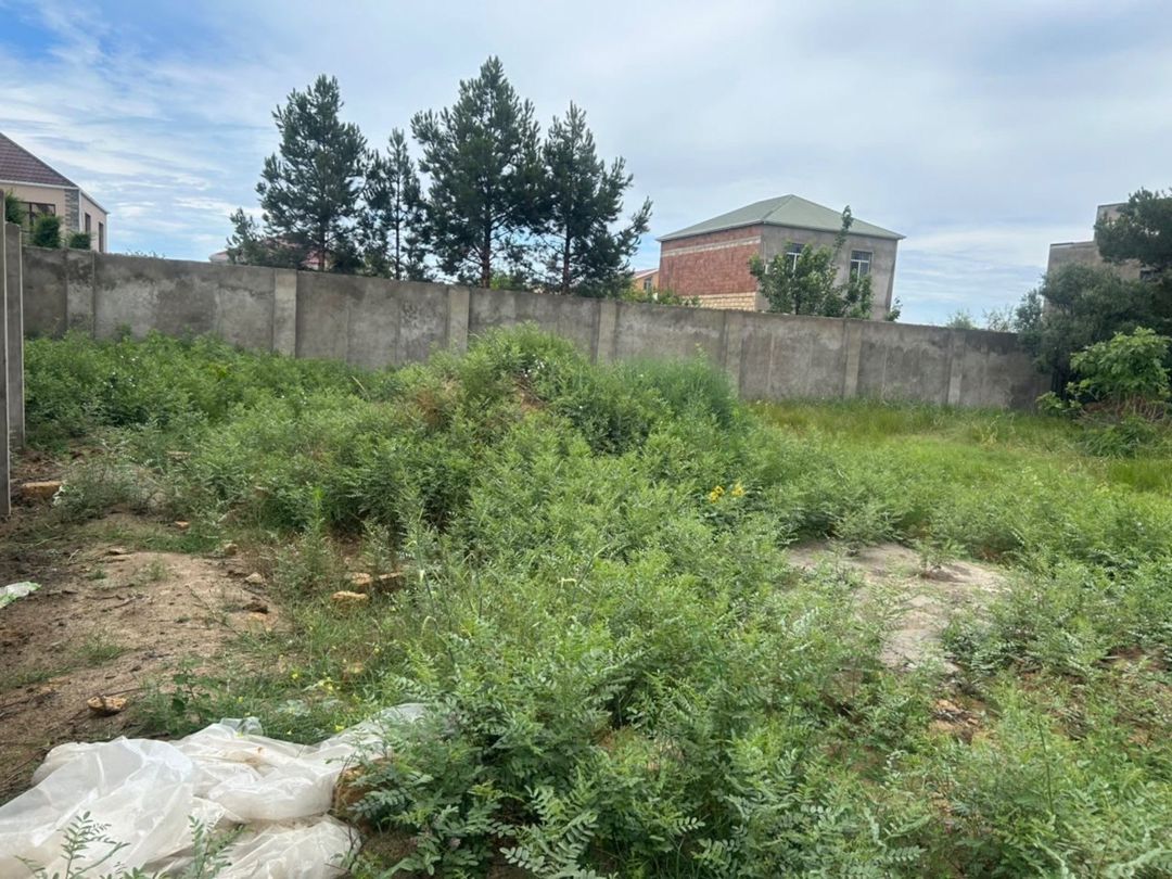 Satılır torpaq 6 sot — Torpaq, Sumqayıt (6)