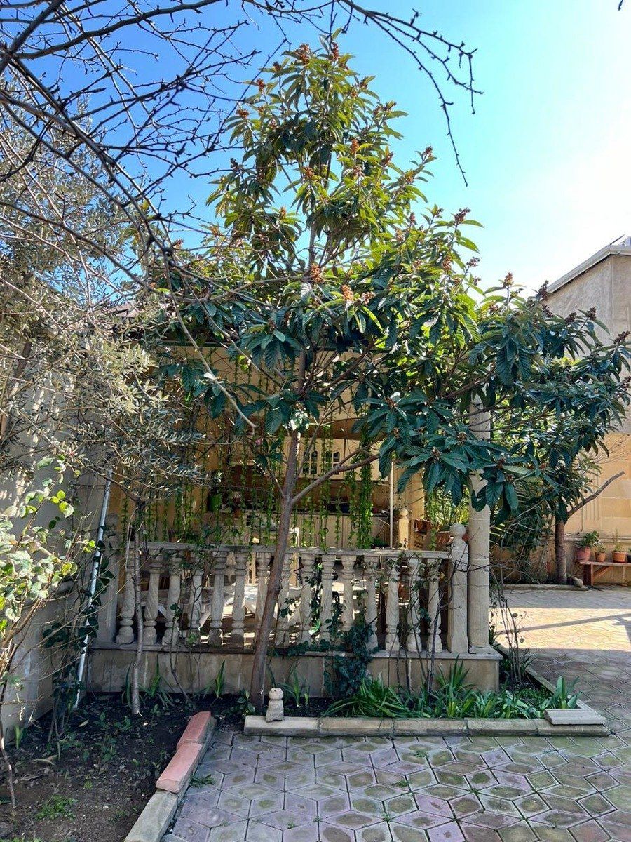 Satılır 9 otaqlı həyət evi/bağ evi 320 m² — Ev, villa, Bakı (5)