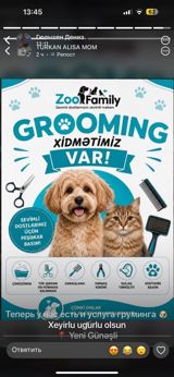 ZooFamily – itlərin və pişiklərin peşəkar grooming xidməti — Masters