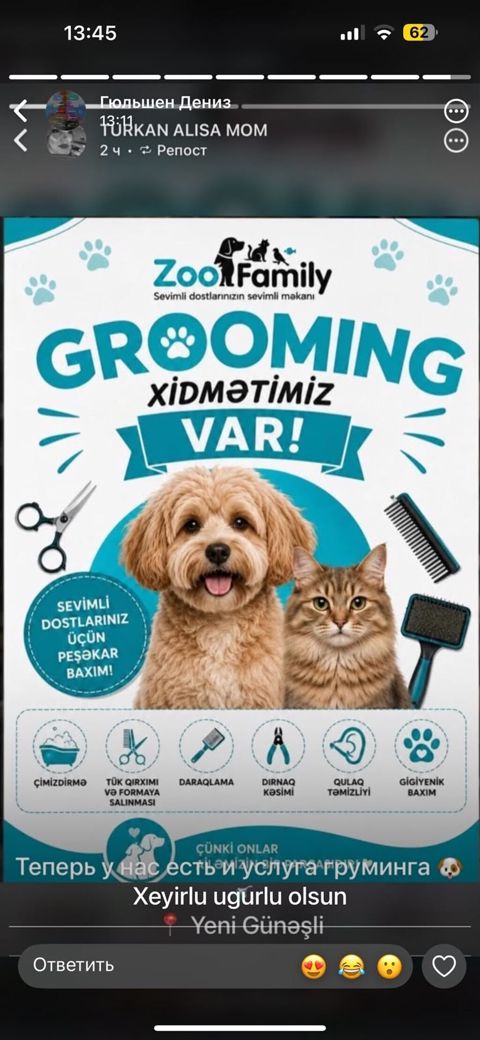 ZooFamily – itlərin və pişiklərin peşəkar grooming xidməti — Bakı