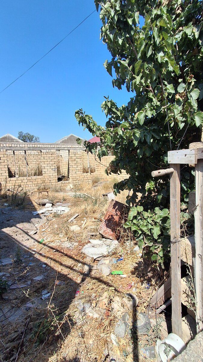 3 sot torpaq sahəsi, Xəzər bağları — Torpaq, Sumqayıt (4)