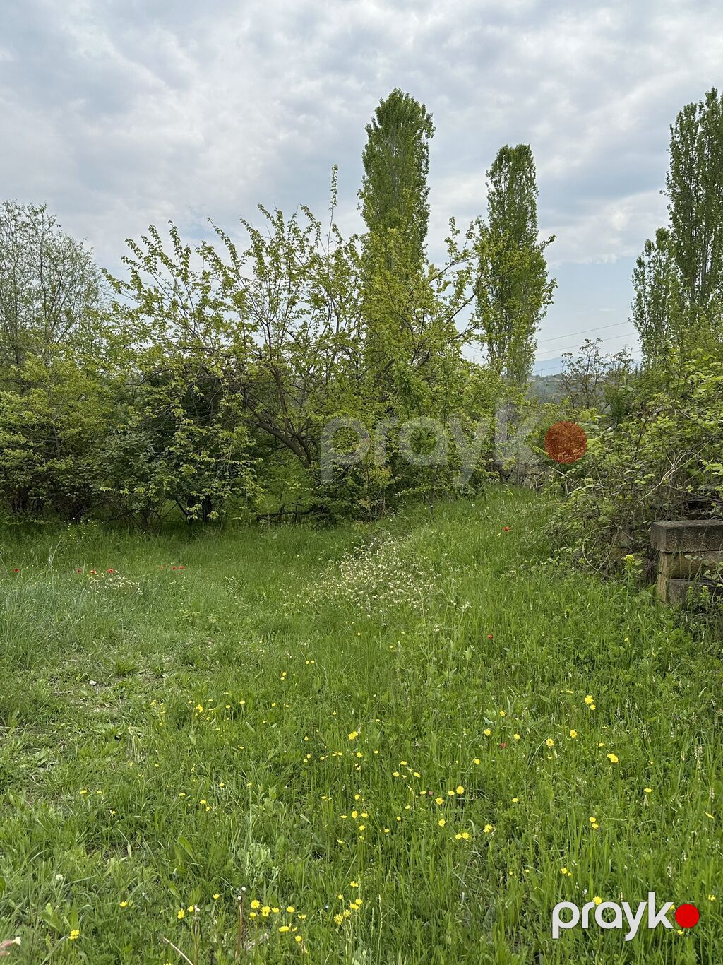 31 sot, Tikinti, Mülkiyyətçi, Kupça (Çıxarış) — Torpaq, Gəncə (6)