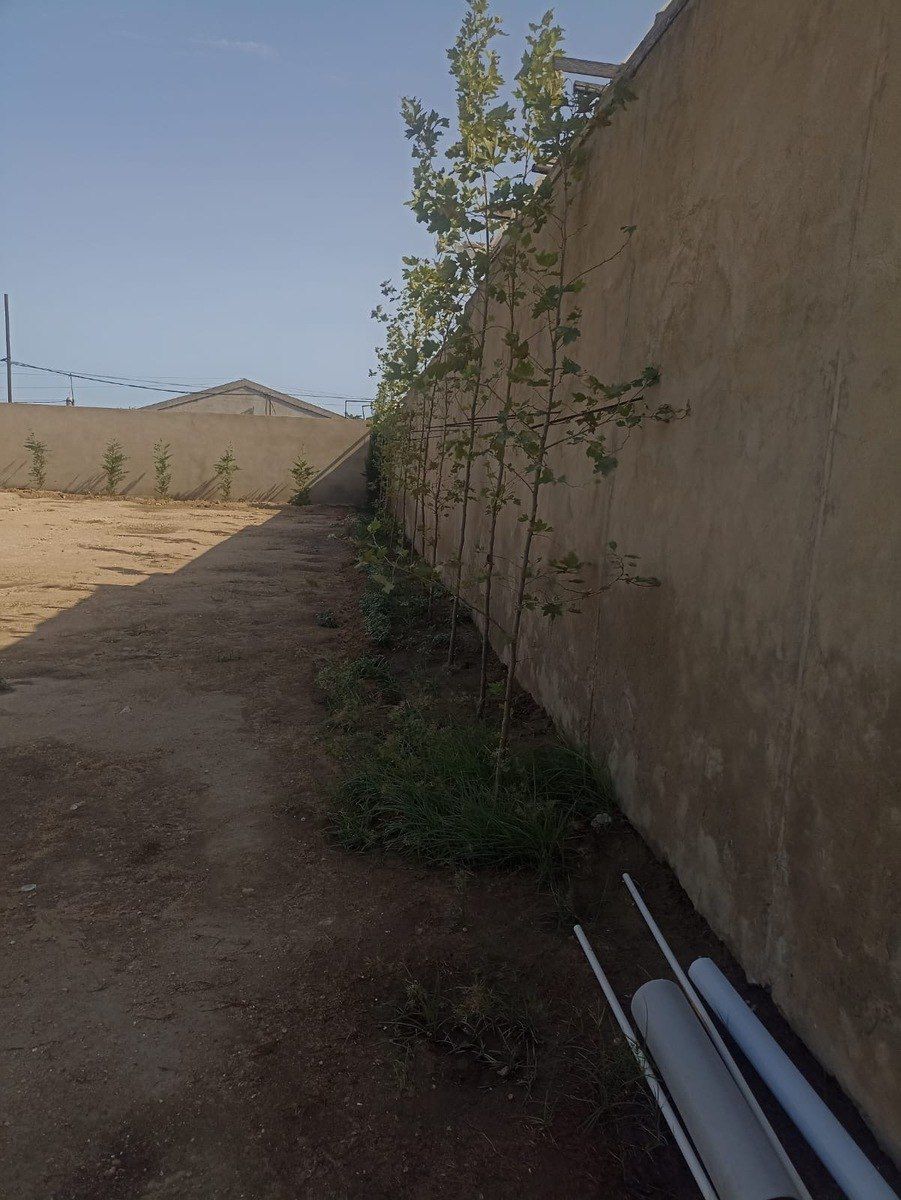 Satılır torpaq 6 sot — Torpaq, Bakı (4)