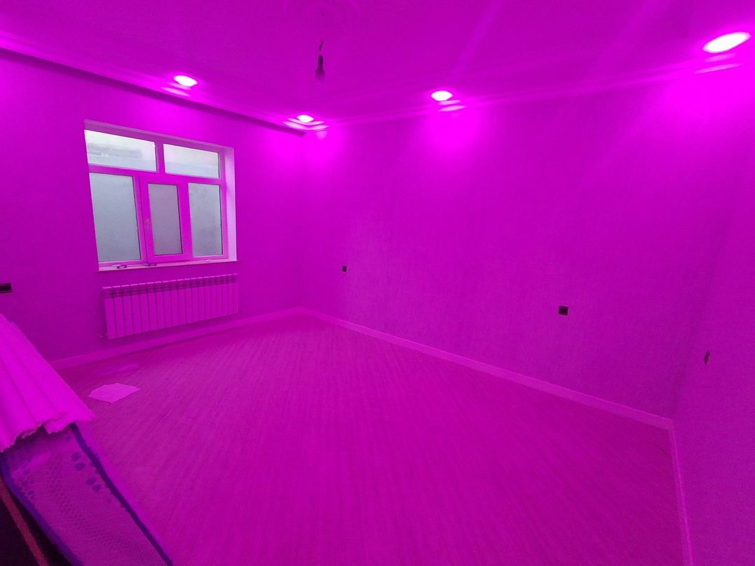 İcarəyə verilir 3 otaqlı həyət evi/bağ evi 100 m² — Ev, villa, Bakı (7)