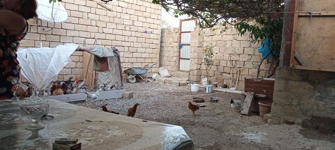 Satılır 1 otaqlı həyət evi/bağ evi 32 m² — Ev, villa, Bakı (11)