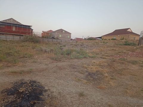 Tikinti, Mülkiyyətçi, Kupça (Çıxarış) — Şirvan