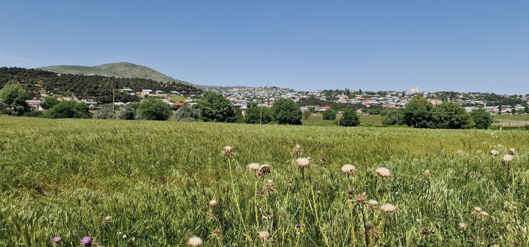 Satılır torpaq 226 sot — Torpaq, Şamaxı (2)