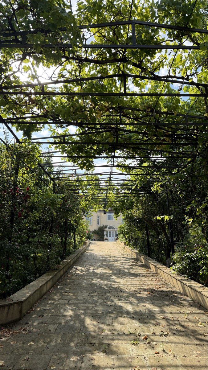 Satılır 11 otaqlı həyət evi/bağ evi 700 m² — Ev, villa, Bakı (8)