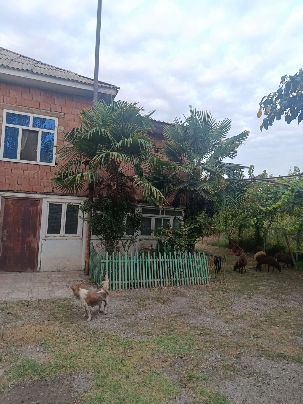 Satılır: həyətli iki mərtəbəli yaşayış evi - Ümumi təsvir: İki — Daşınmaz əmlak, Salyan (2)
