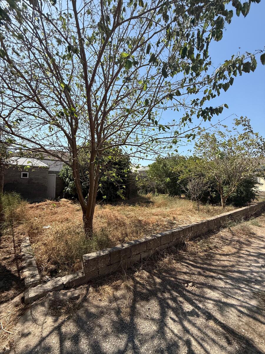 Satılır torpaq 265 sot — Torpaq, Bakı (3)