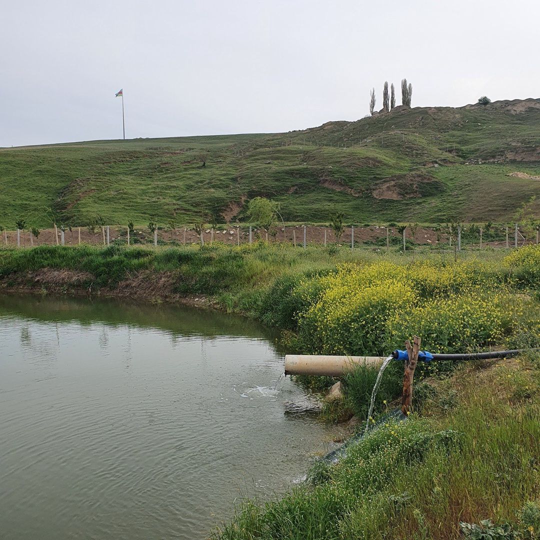 Satılır torpaq 320 sot — Torpaq, Şamaxı (3)