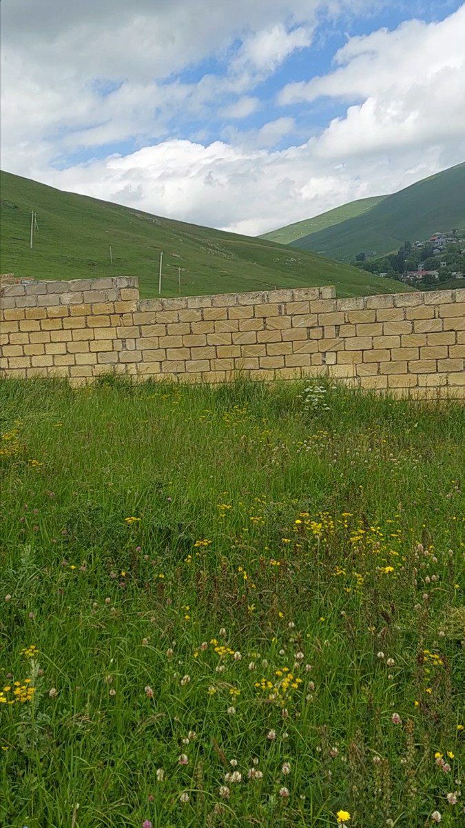 Satılır 4 otaqlı həyət evi/bağ evi 90 m² — Ev, villa, Daşkəsən (12)