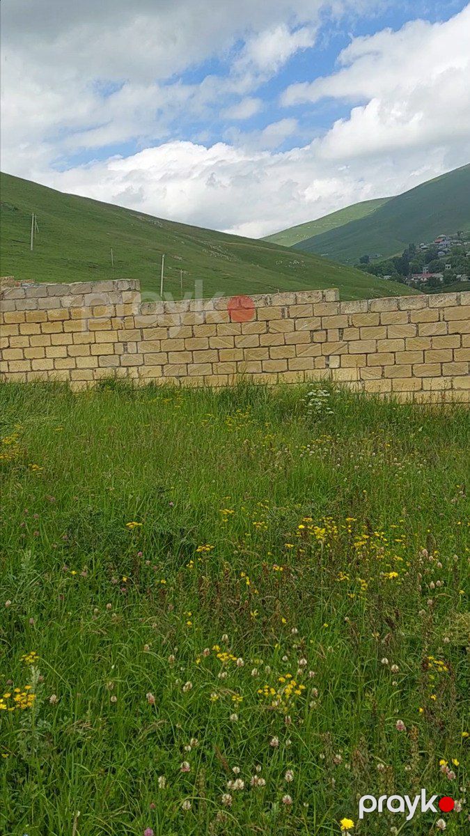 Satılır 4 otaqlı həyət evi/bağ evi 90 m² — Ev, villa, Daşkəsən (12)