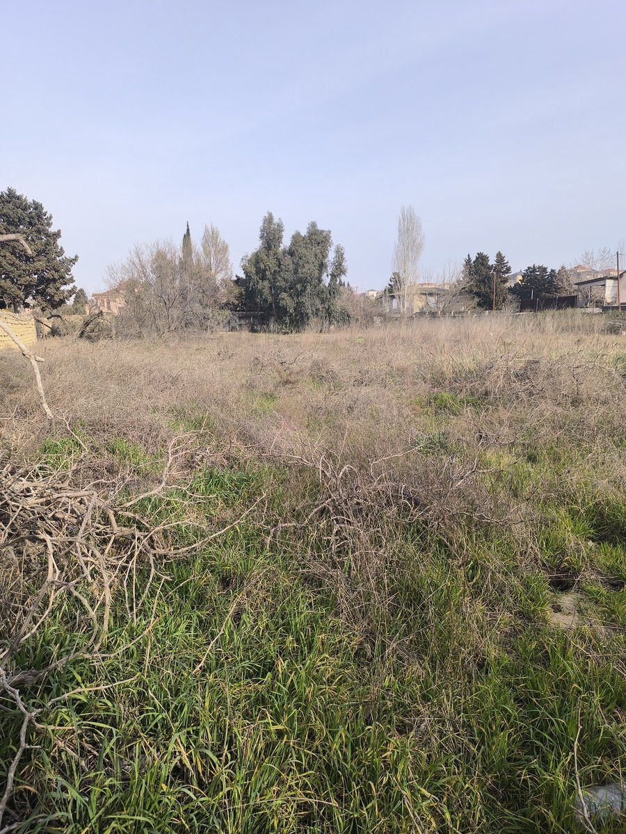 Satılır torpaq 41 sot — Torpaq, Bakı (2)