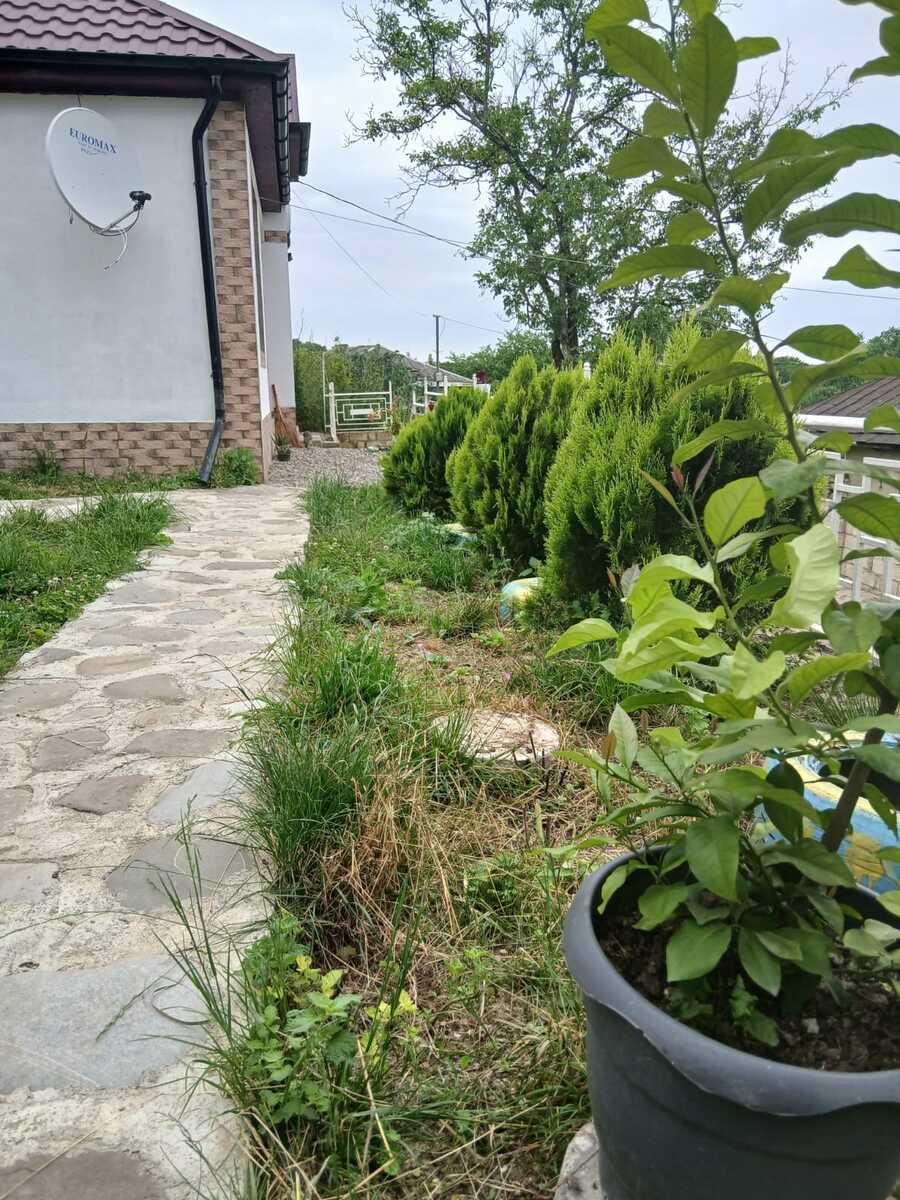 İcarəyə verilir 3 otaqlı həyət evi/bağ evi 90 m² — Ev, villa, Quba (9)