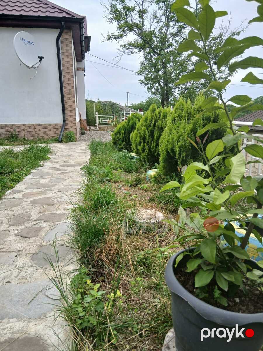 İcarəyə verilir 3 otaqlı həyət evi/bağ evi 90 m² — Ev, villa, Quba (9)