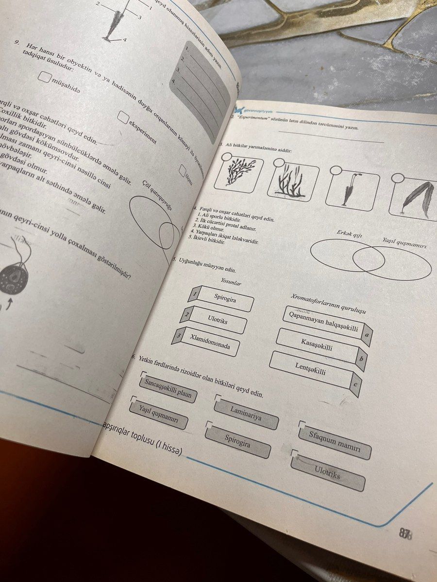 Test bankı Biologiya — Sırt çantaları, ranelər, çantalar, Bakı (2)