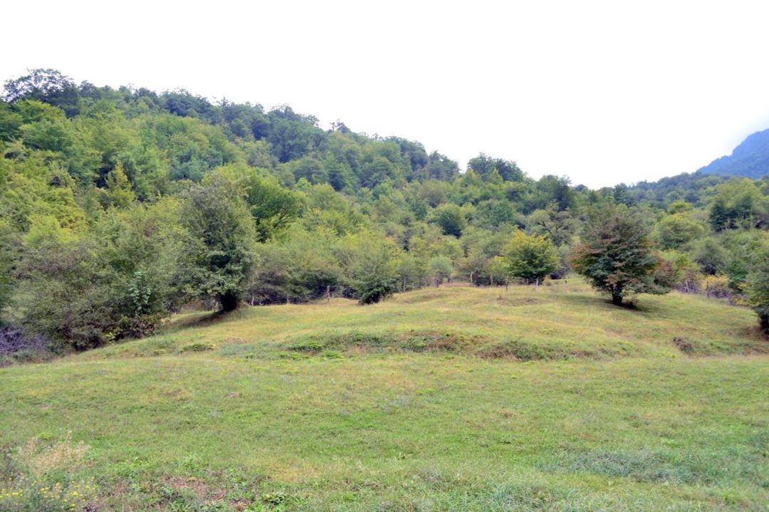 Satılır torpaq 80 sot — Torpaq, Quba (4)