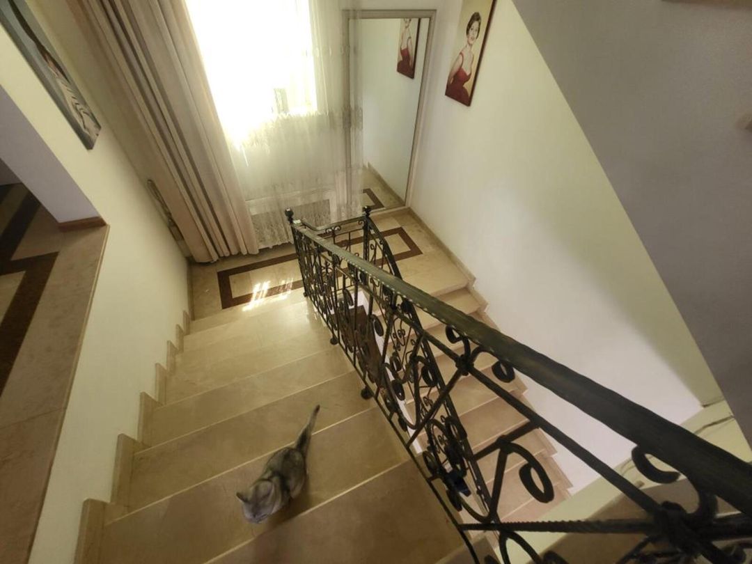 İcarəyə verilir obyekt 400 m² — Əmlak, Bakı (12)