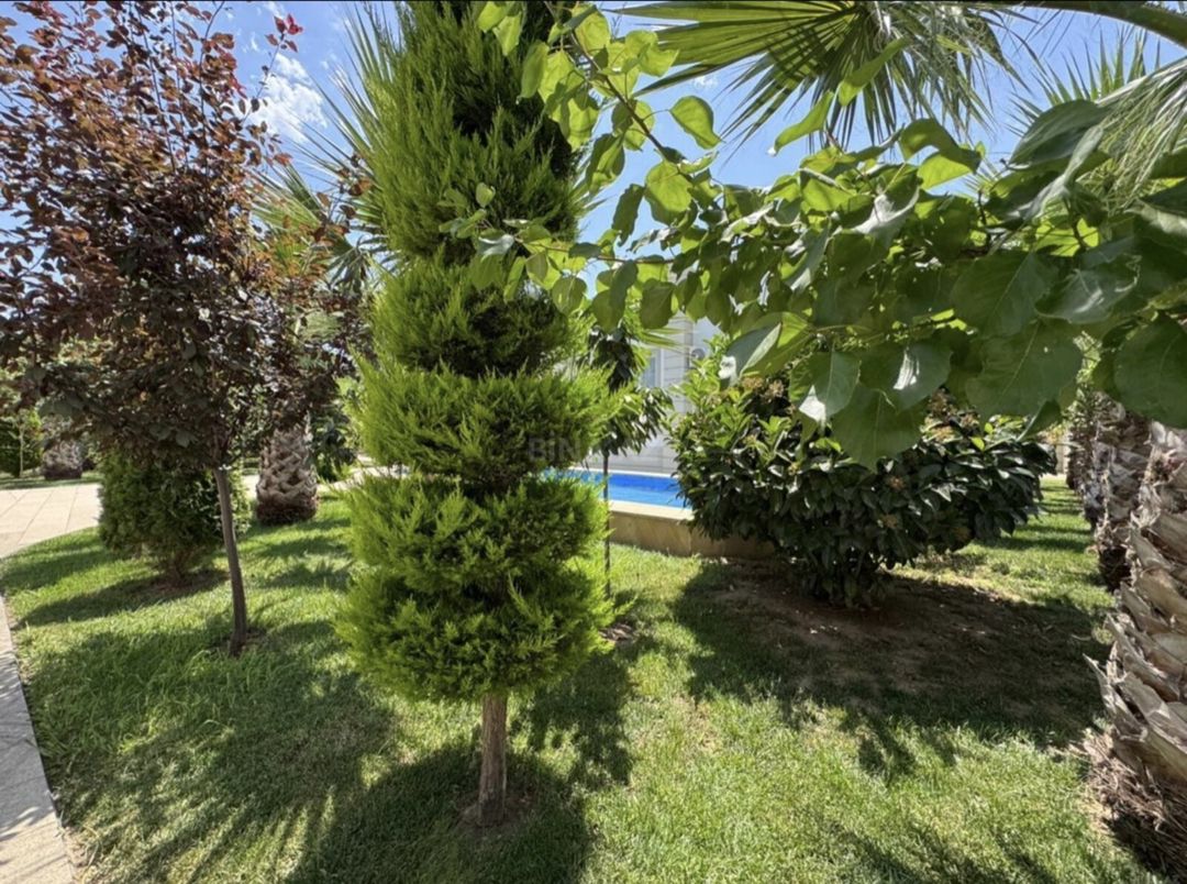 Satılır 6 otaqlı həyət evi/bağ evi 320 m² — Ev, villa, Bakı (7)