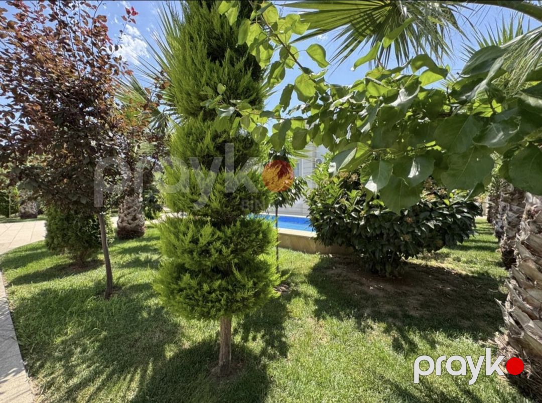 Satılır 6 otaqlı həyət evi/bağ evi 320 m² — Ev, villa, Bakı (7)