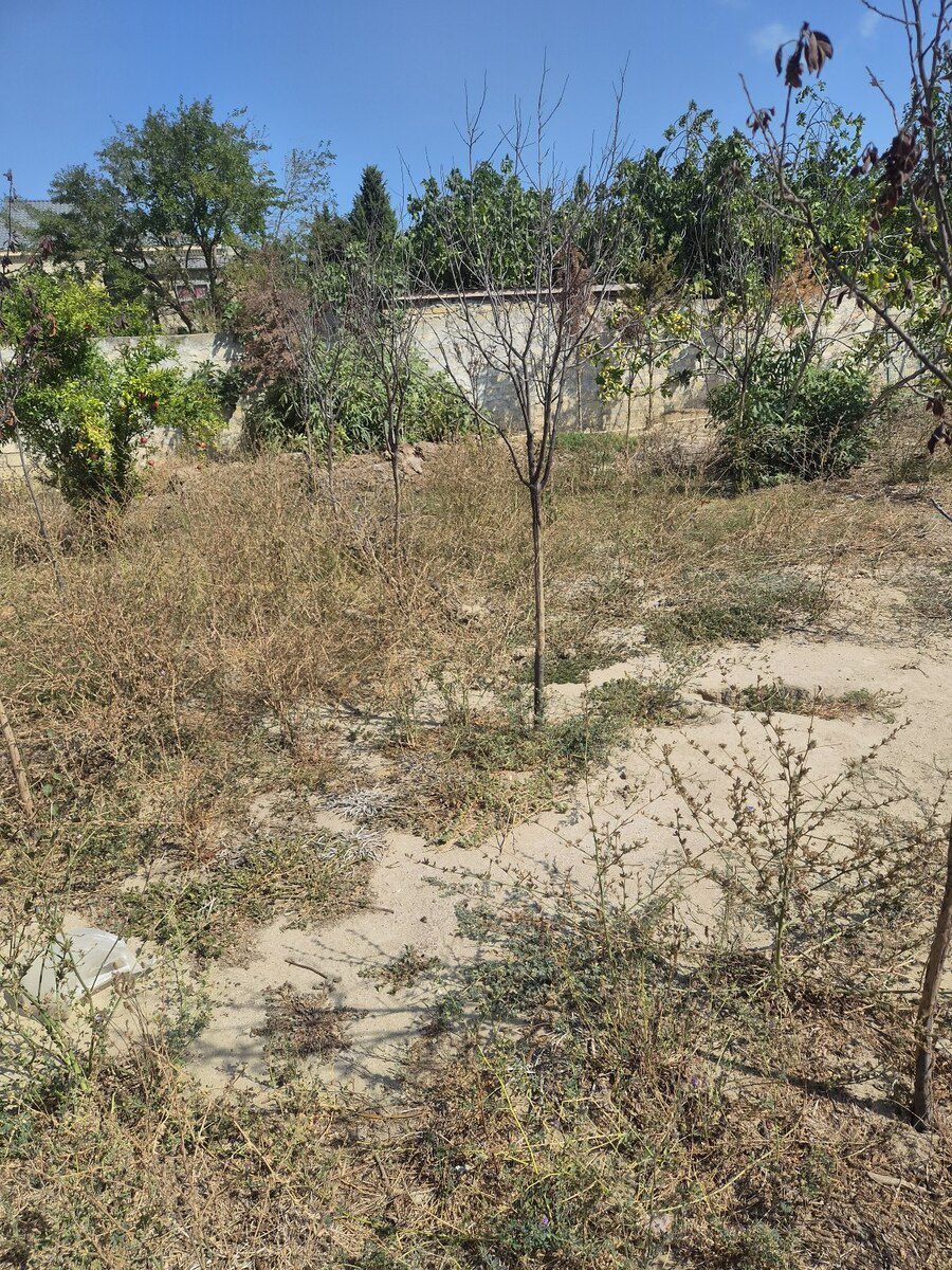 3 sot torpaq sahəsi, Görədil qəs — Torpaq, Bakı (4)