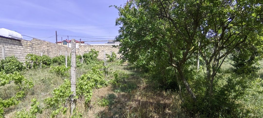 Satılır torpaq 24 sot — Torpaq, Bakı (9)