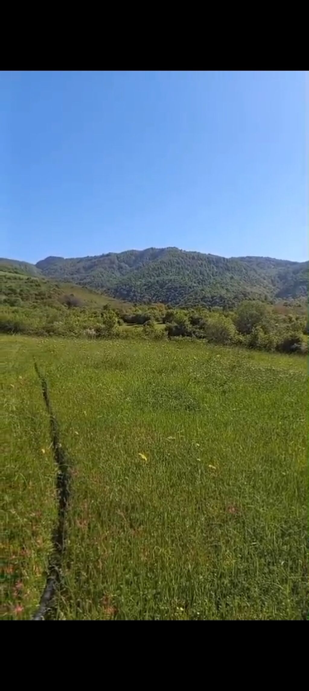 Kənd təsərrüfatı — Torpaq, İsmayıllı (5)