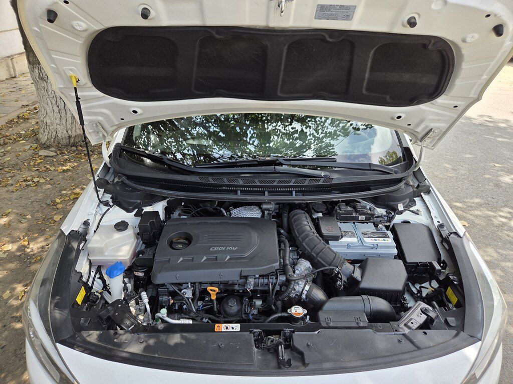 Kia K3, 1.6 L, 2017 il, 320 000 km — Avtomobillər, Salyan (11)