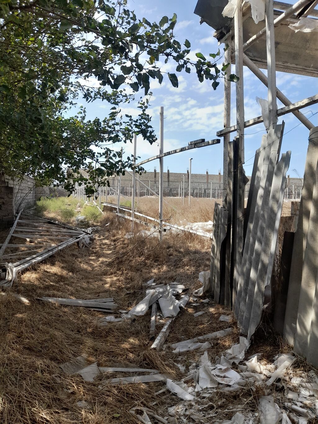 135 sot, Biznes üçün, Kupça (Çıxarış) — Torpaq, Digah (9)