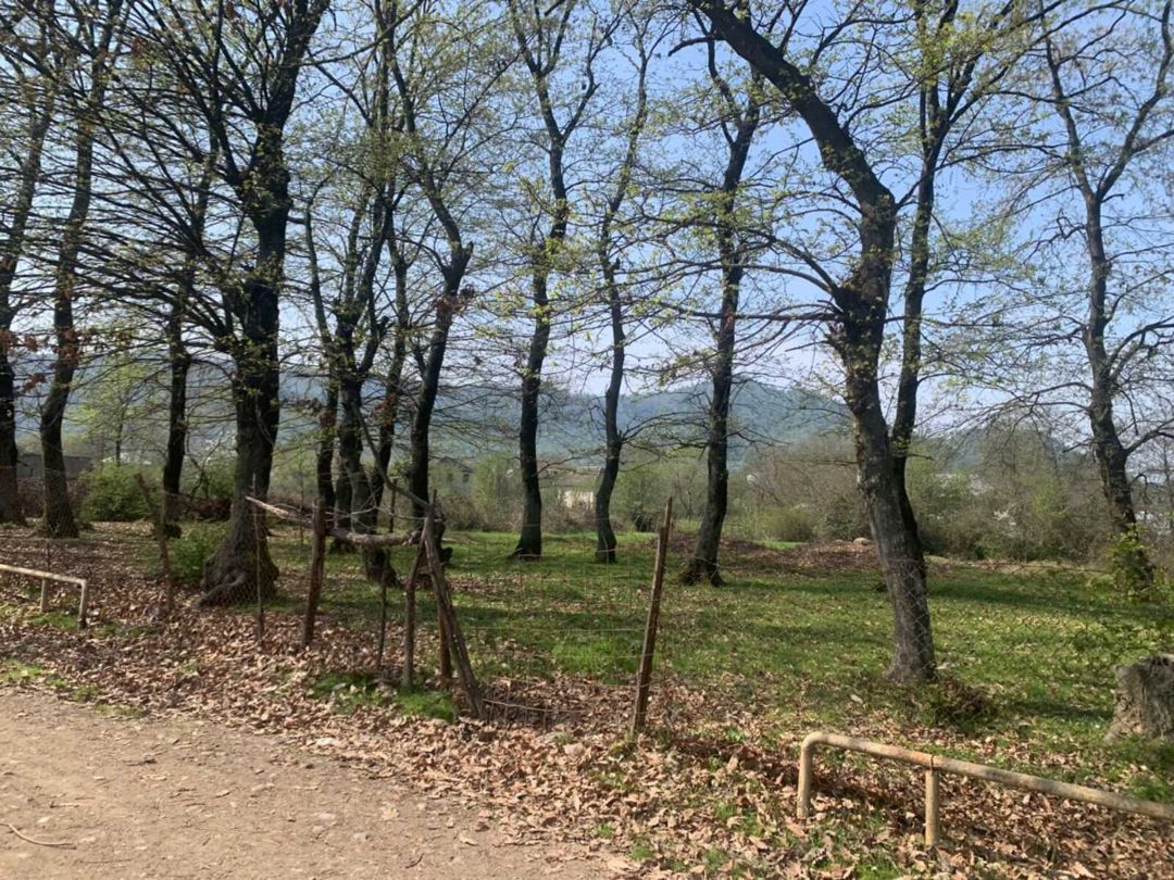Satılır torpaq 45 sot — Torpaq, Lənkəran (3)