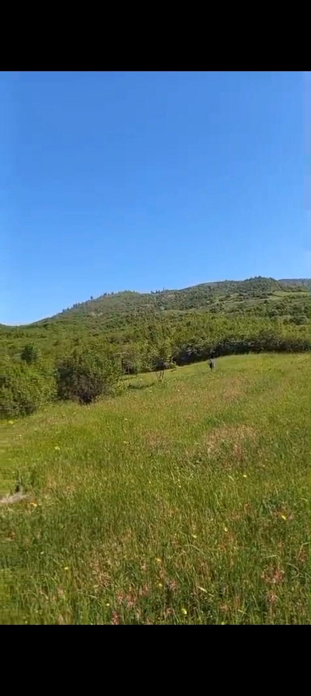 Kənd təsərrüfatı — Torpaq, İsmayıllı
