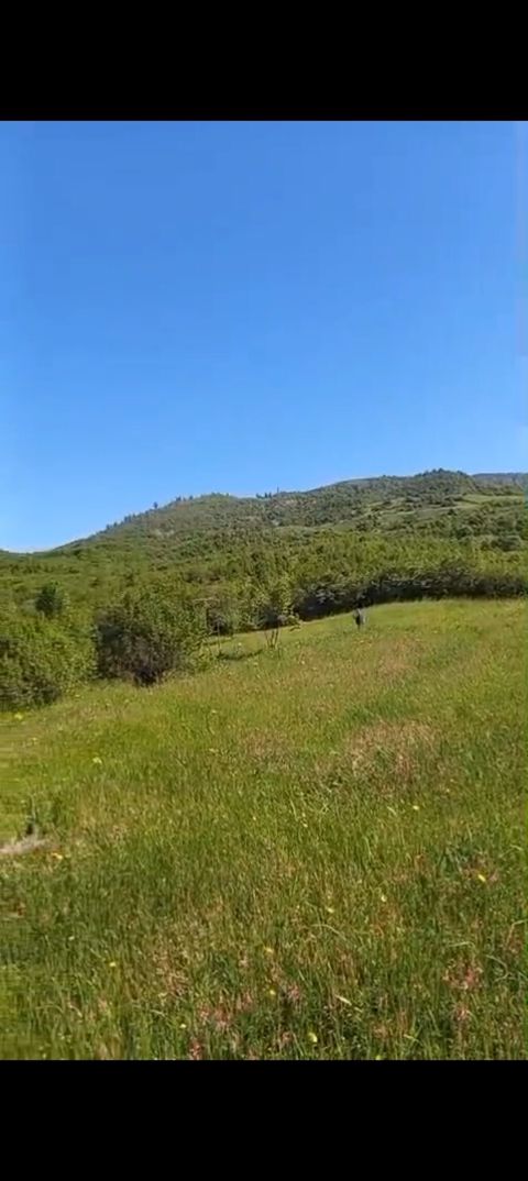 Kənd təsərrüfatı — İsmayıllı