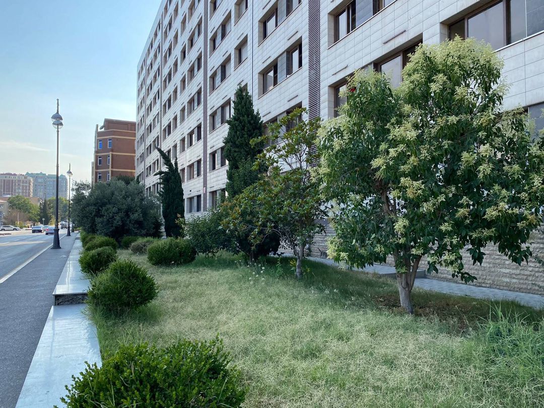 Satılır 2 otaqlı köhnə tikili 65 m² — Mənzil, Bakı (3)