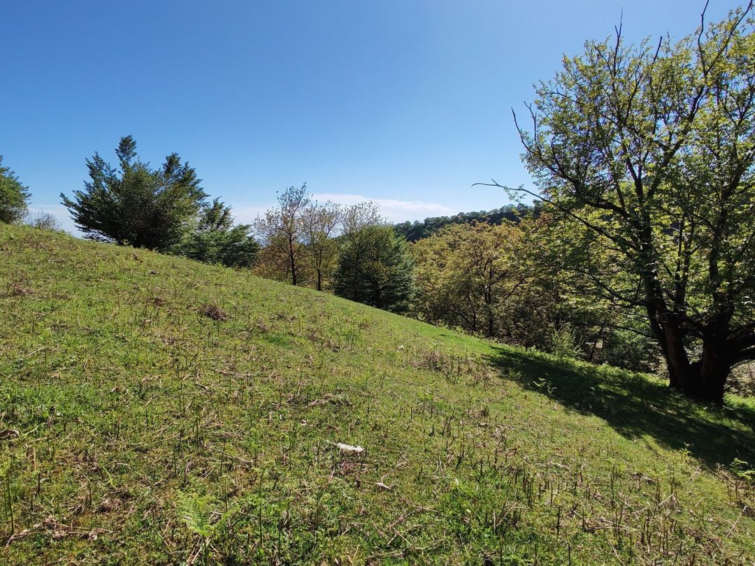 Satılır torpaq 41 sot — Torpaq, Qəbələ (3)