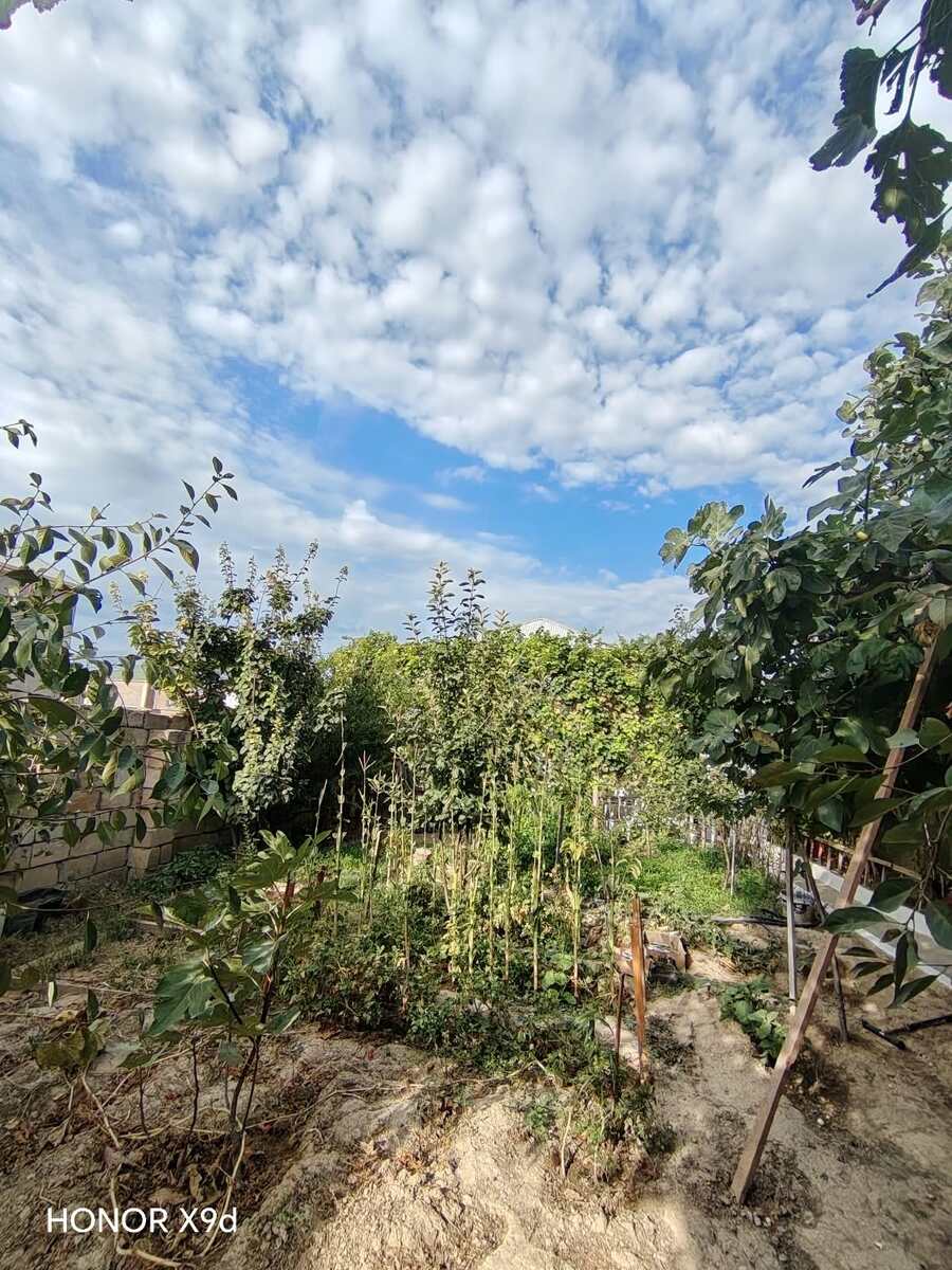 Satılır 3 otaqlı həyət evi/bağ evi 80 m² — Ev, villa, Bakı (4)