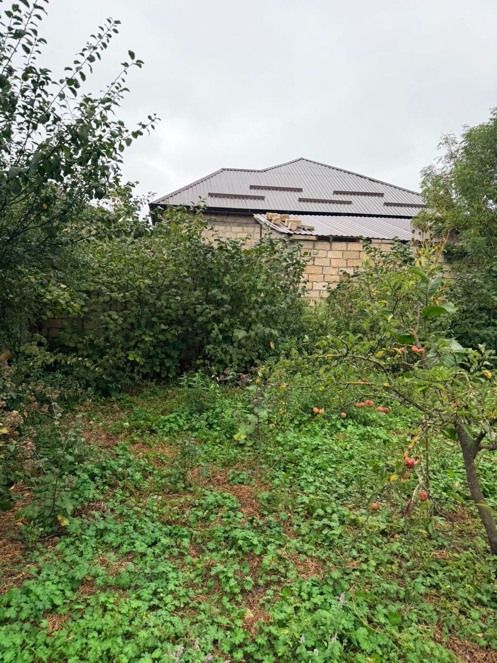 Biznes üçün — Torpaq, Xırdalan (6)