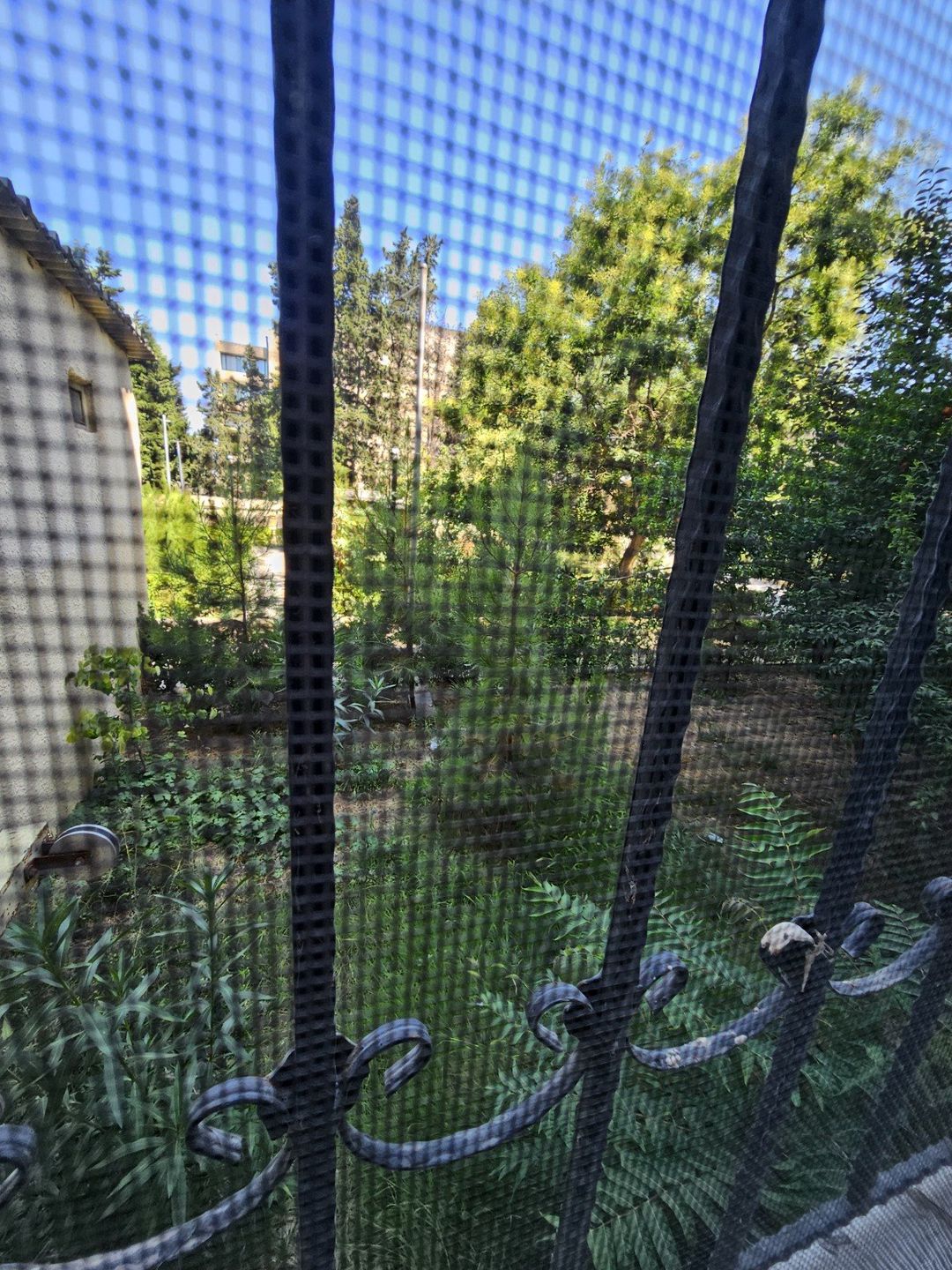 3-otaqlı mənzil, Azadlıq m., 75 m² — Mənzil, Bakı (12)
