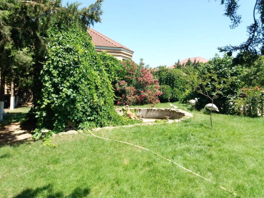 İcarəyə verilir 5 otaqlı həyət evi/bağ evi 400 m² — Ev, villa, Bakı (8)